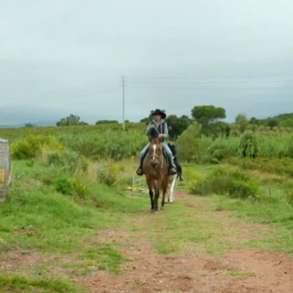 Balade équestre à Fréjus-Saint Raphael