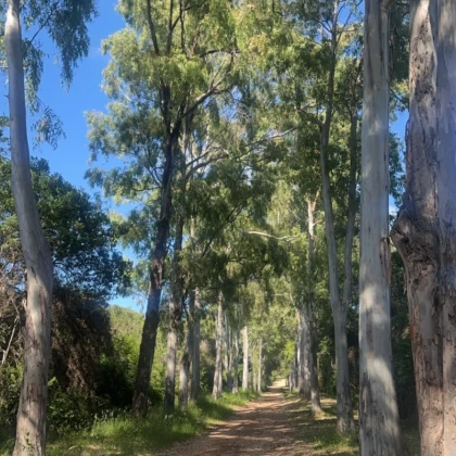 Balade pédestre ile Sainte-Marguerite