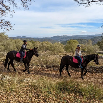 Balade à cheval lac de saint cassien fête des mères