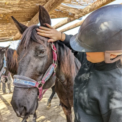 Balade à cheval var