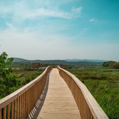Balade naturaliste aux étangs de Villepey à Fréjus