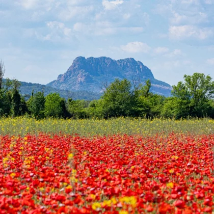 Activités à faire à Roquebrune sur Argens