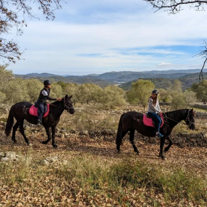 Balade équestre en automne nature