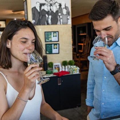 Activité à faire en automne à Fréjus : dégustation de vin