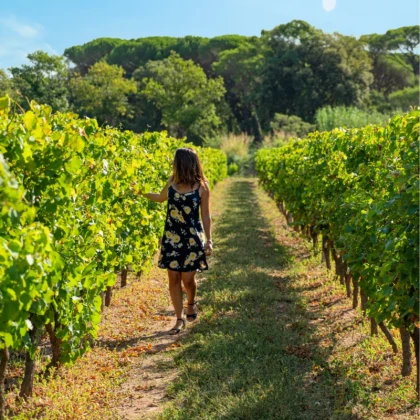 idée cadeau Secret Santa visite vignoble et dégustation à petit prix