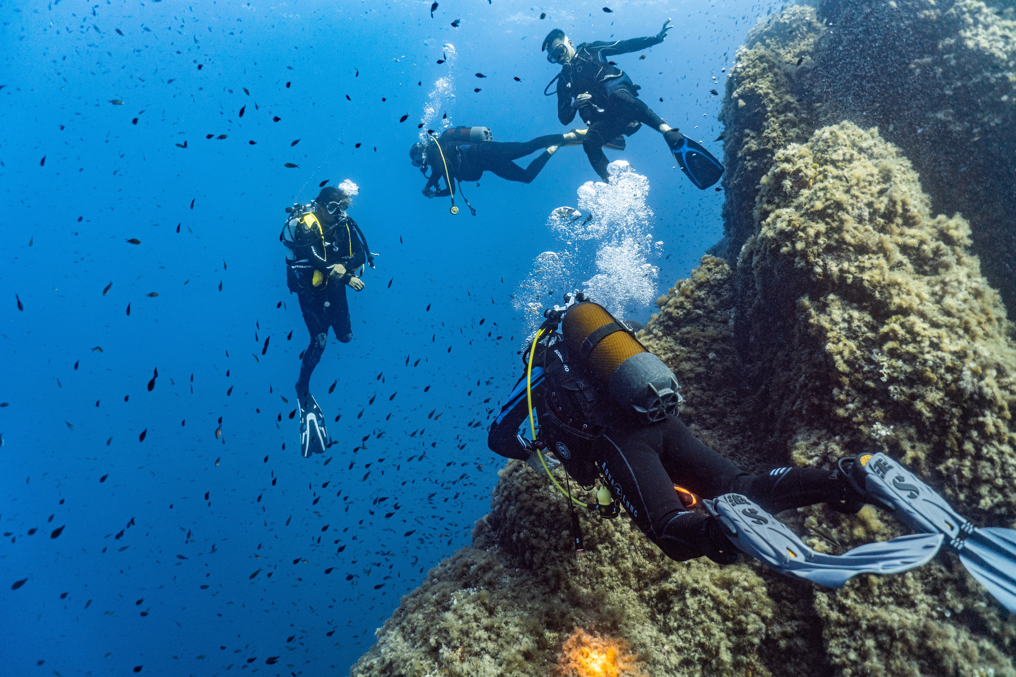 Plongée - Expérience Côte d'Azur