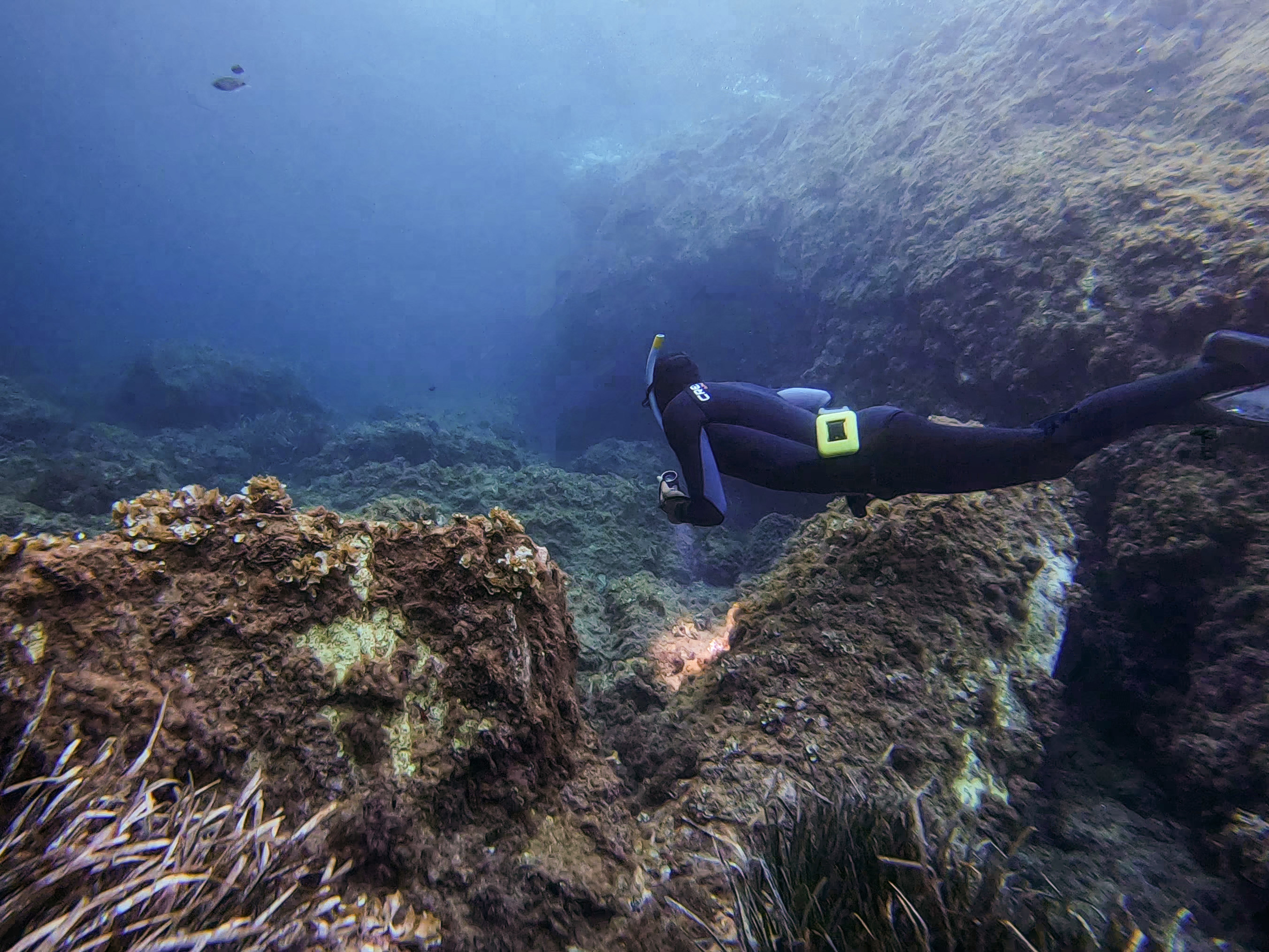 Apnée et rando palmée - Expérience Côte d'Azur