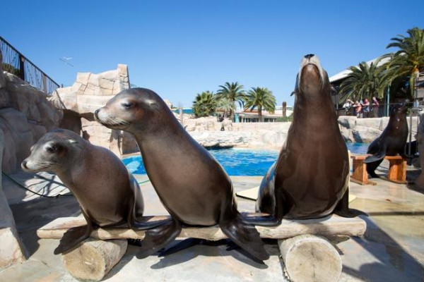 Parcs & animaux - Expérience Côte d'Azur