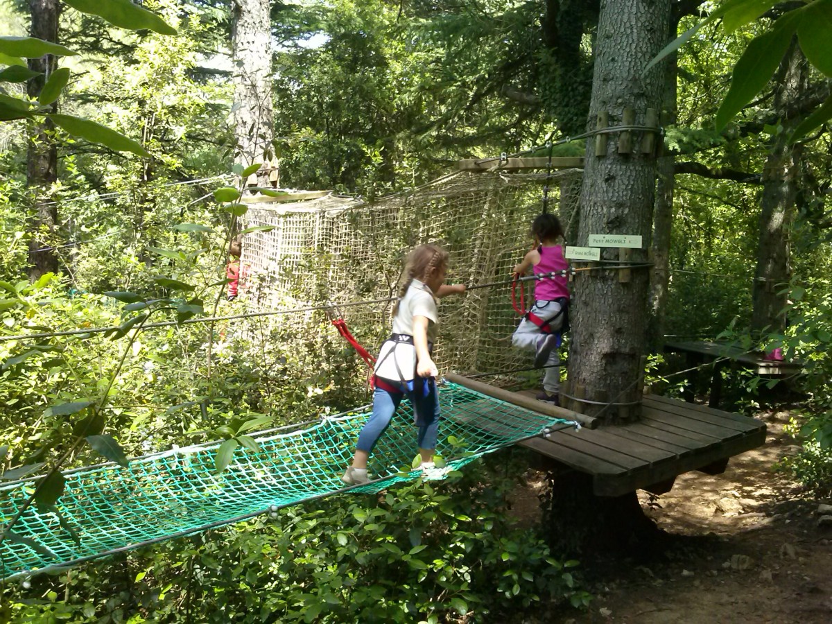 Accrobranche Aoubré l’aventure nature – Prix promo au cœur du Var - Expérience Côte d'Azur