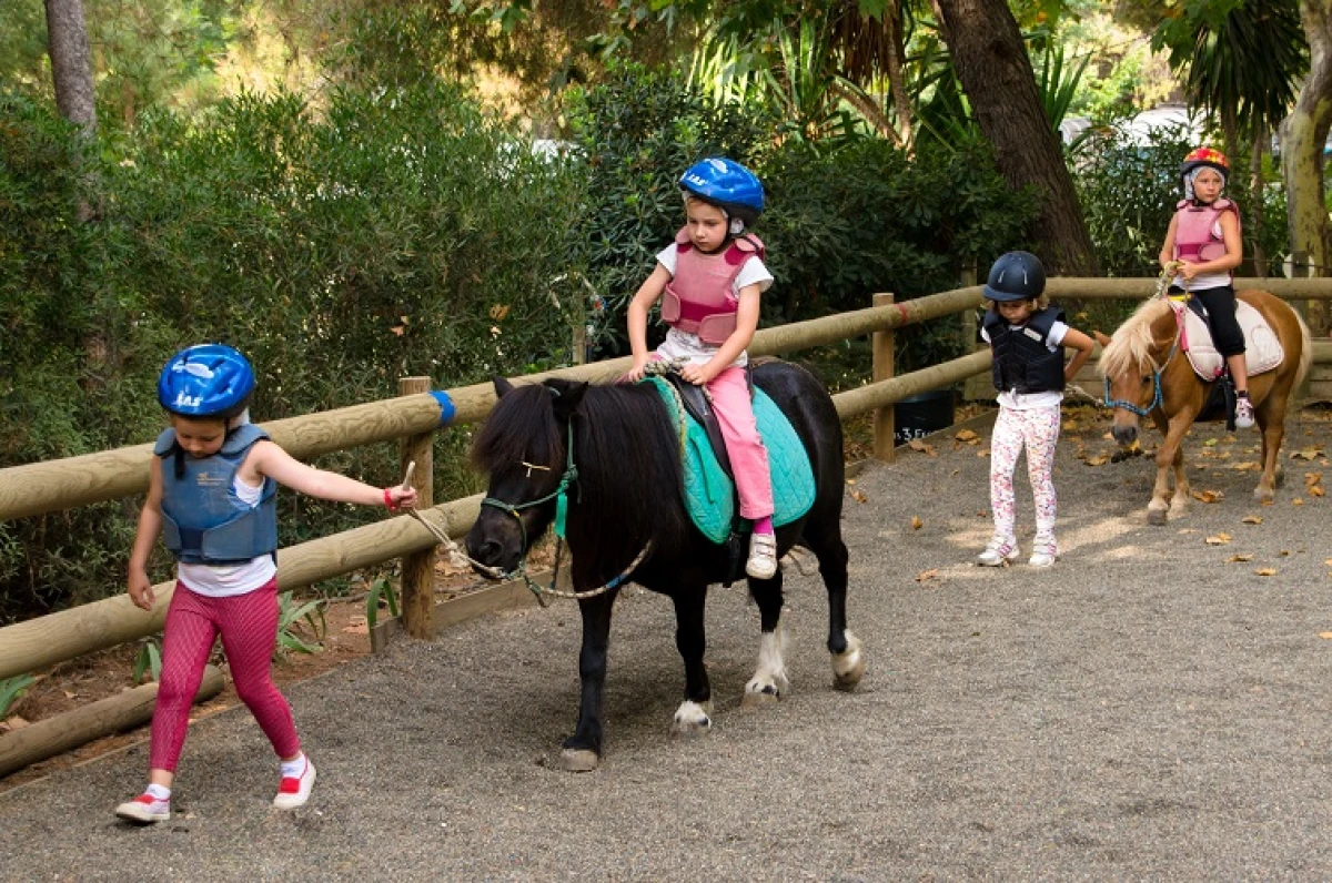 Apprentissage équitation : Pégase dès 8 ans - Expérience Côte d'Azur