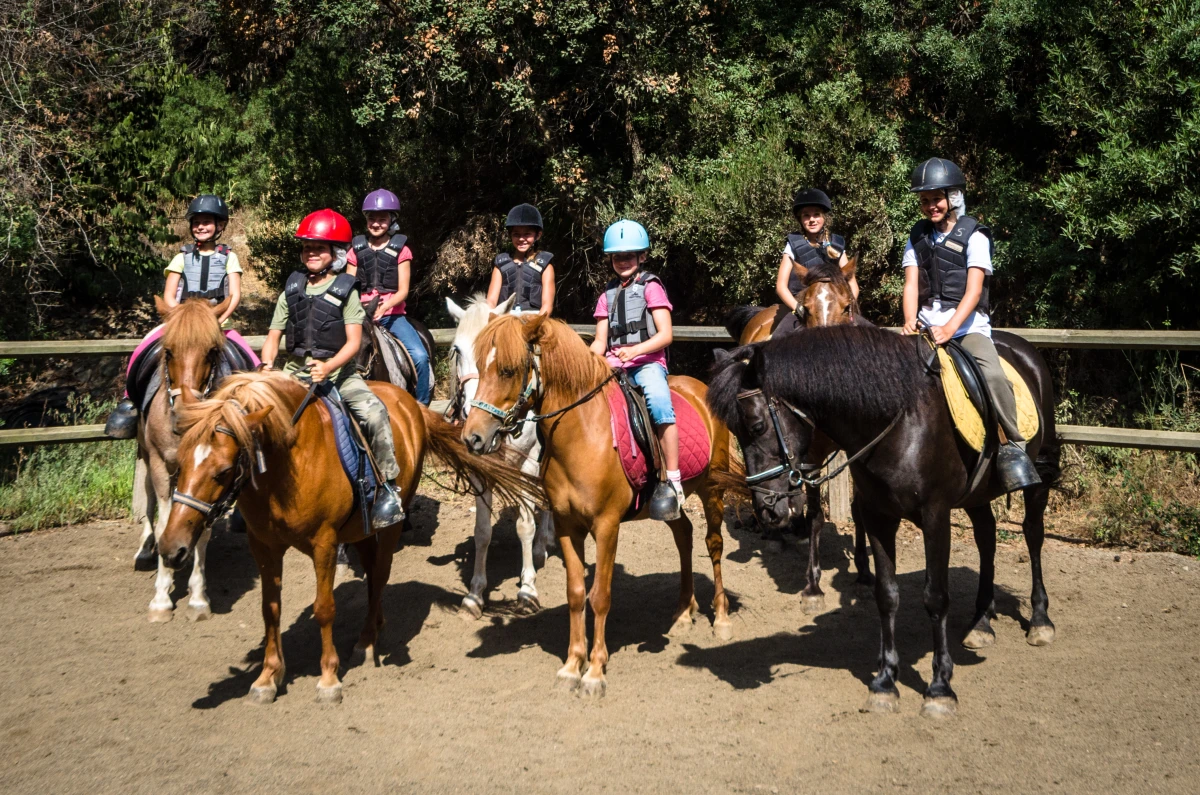 Apprentissage équitation : Pégase dès 8 ans - Expérience Côte d'Azur