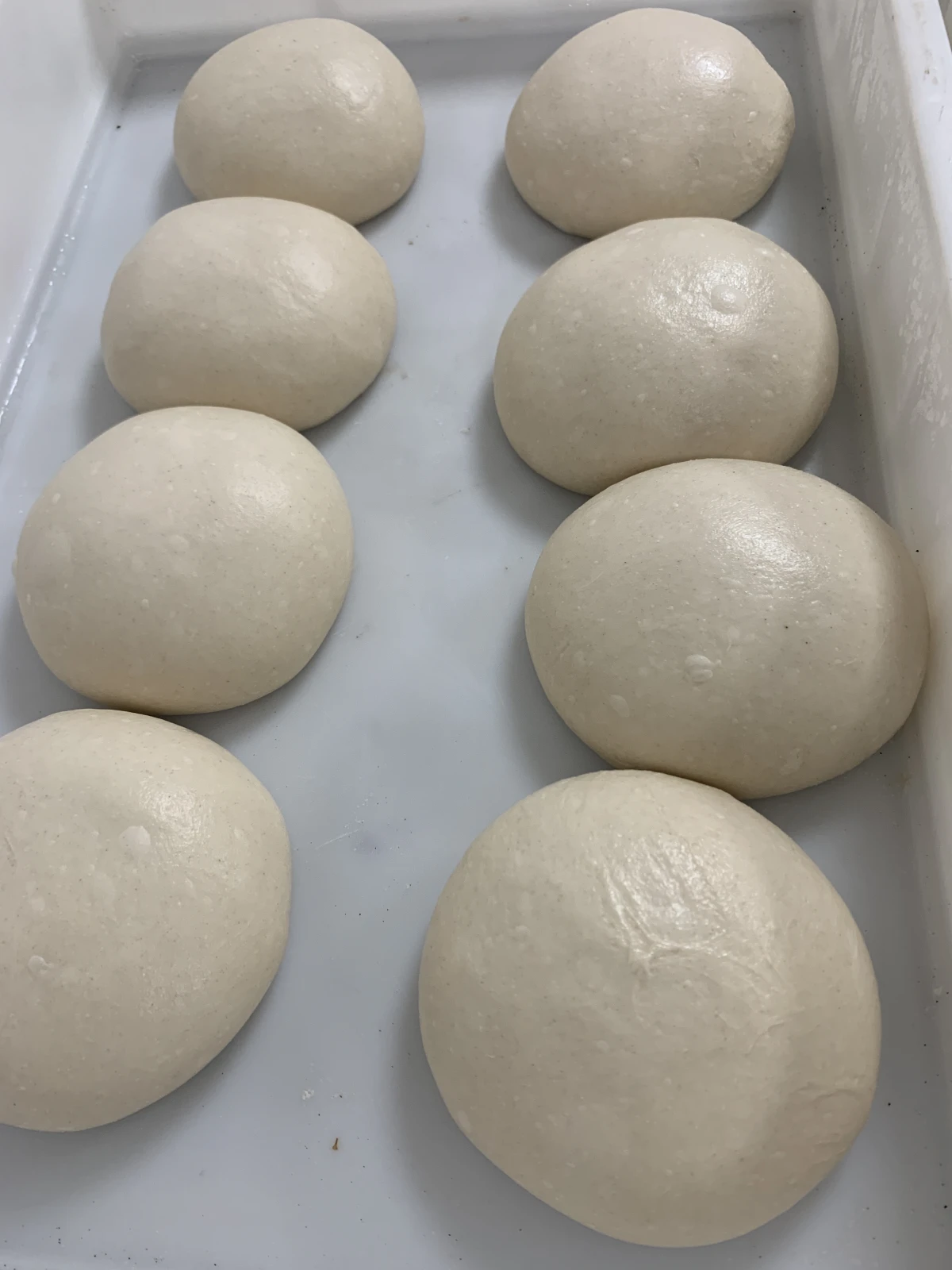 Atelier Pizza avec un Champion de France - Expérience Côte d'Azur