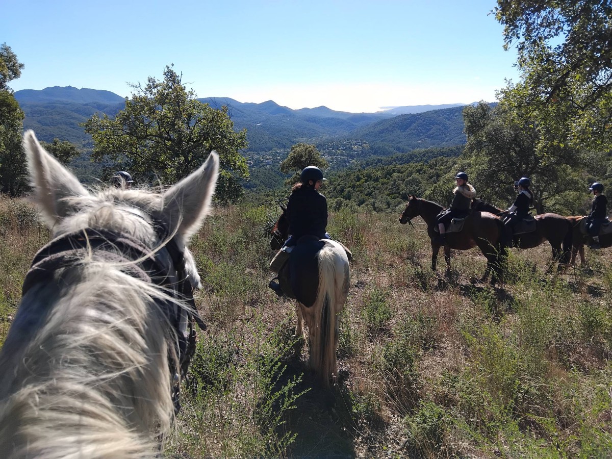 Balade à cheval avec apéritif fermier au lac de Saint-Cassien – Pays de Fayence - Expérience Côte d'Azur