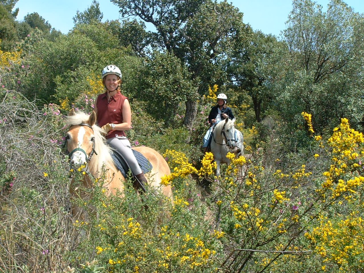 Balade à cheval cavalier moyen dans l’Estérel – Vue mer à Saint-Raphaël - Expérience Côte d'Azur