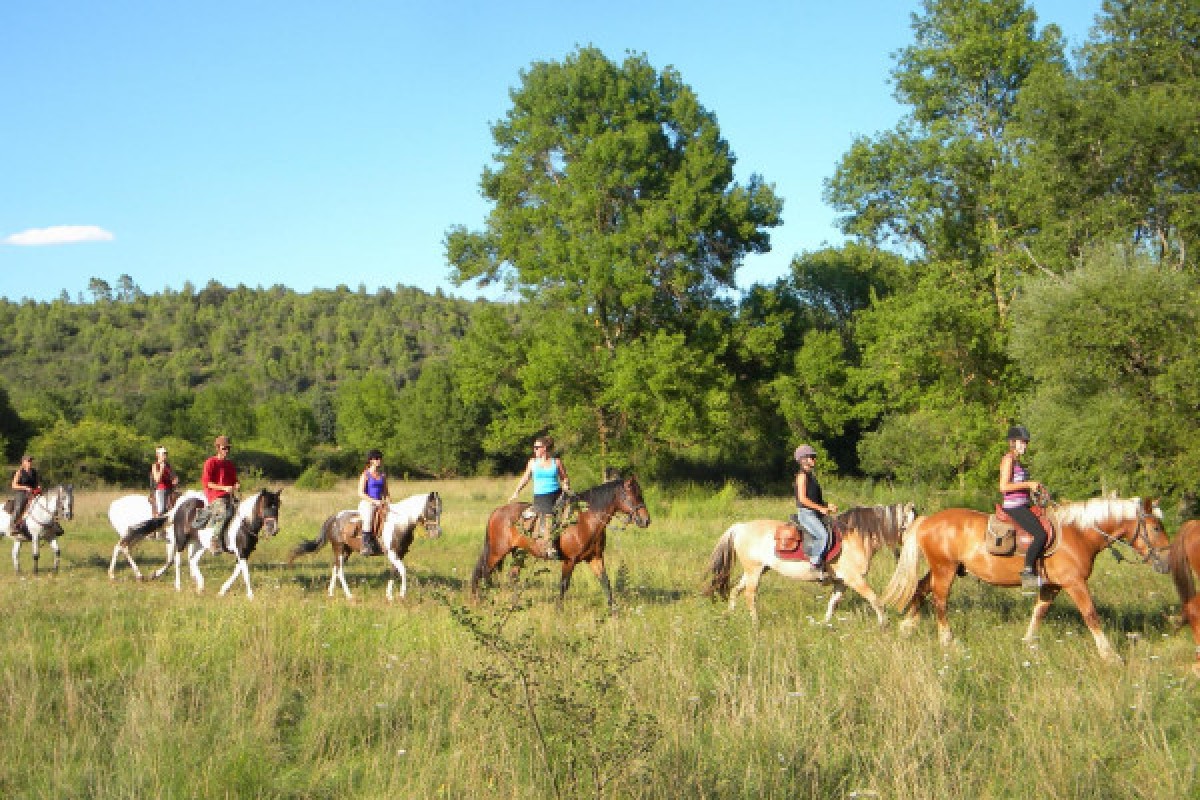 Balade à Cheval - Découverte du Lac de Saint Cassien 2h - Expérience Côte d'Azur