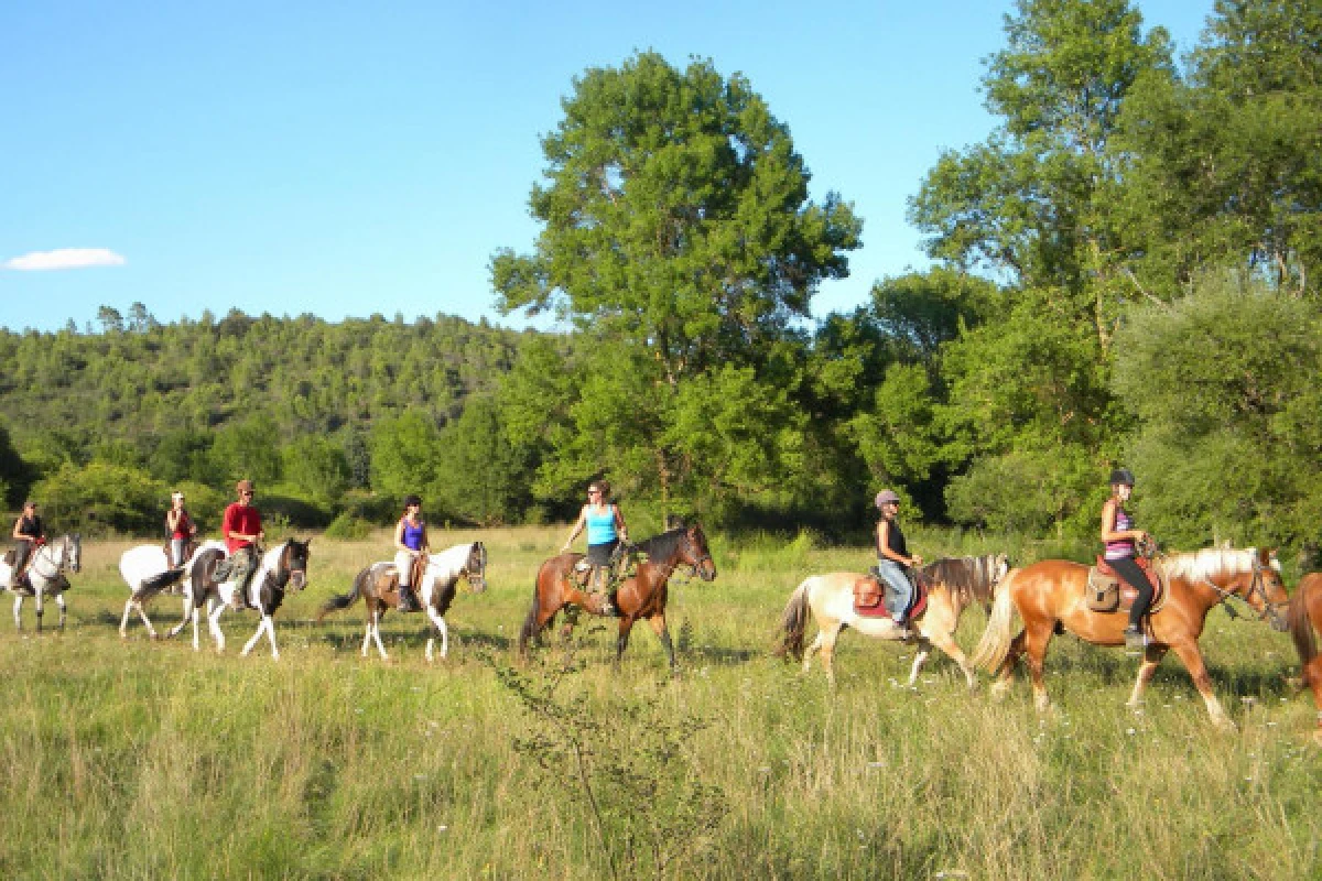 Balade à Cheval - Découverte du Lac de Saint Cassien 2h - Expérience Côte d'Azur