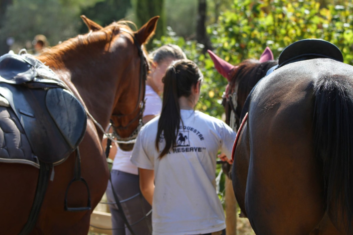 Balade à cheval en duo avec dégustation de vin - Expérience Côte d'Azur