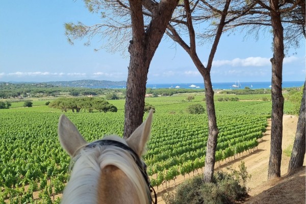 Balade à cheval et dégustation de vins, Ramatuelle - Expérience Côte d'Azur