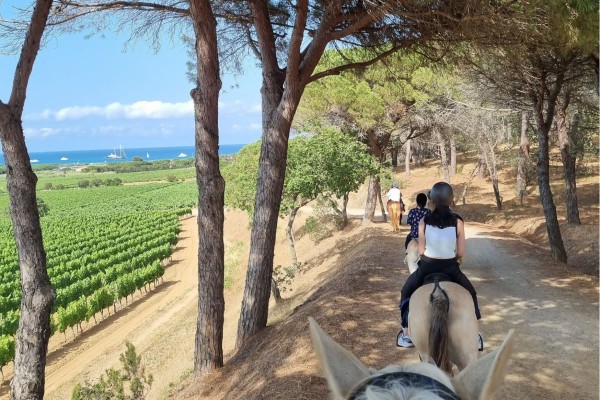 Balade à cheval et dégustation de vins, Ramatuelle - Expérience Côte d'Azur