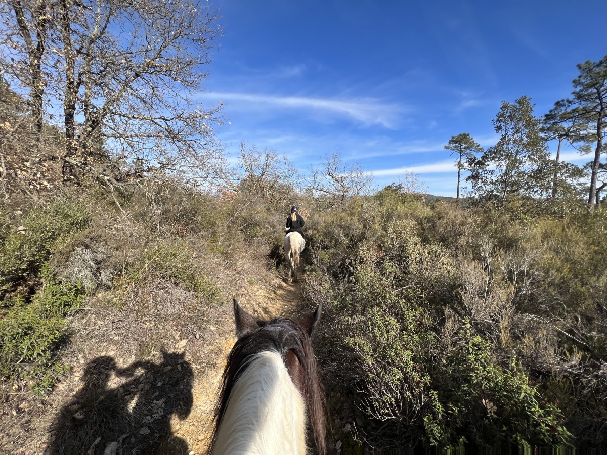 Balade demi-journée à cheval au lac St Cassien - Expérience Côte d'Azur