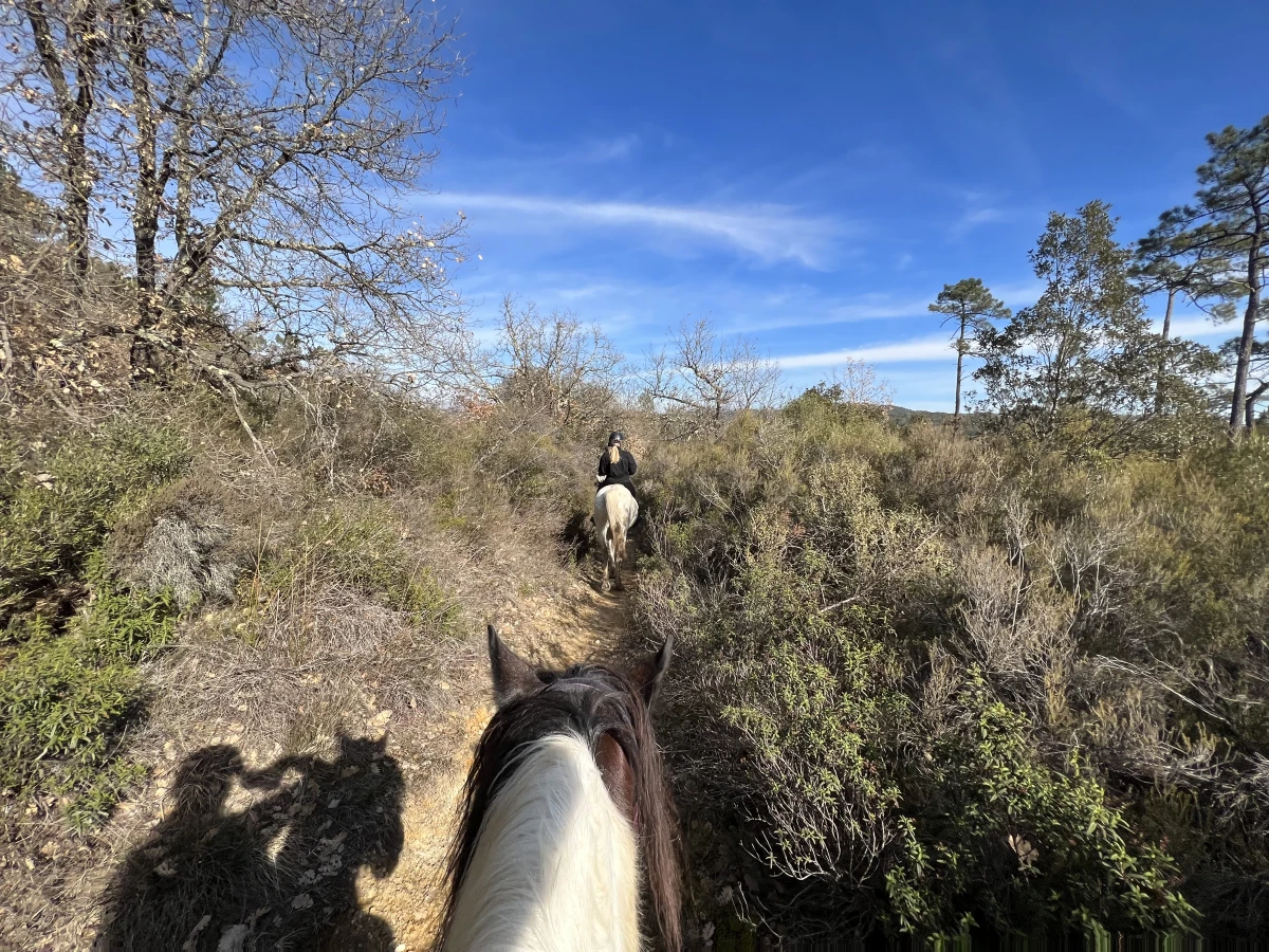Balade demi-journée à cheval au lac St Cassien - Expérience Côte d'Azur