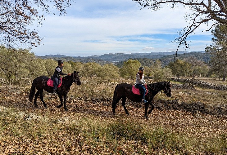 Balade détente à cheval - lac de Saint- Cassien - Expérience Côte d'Azur
