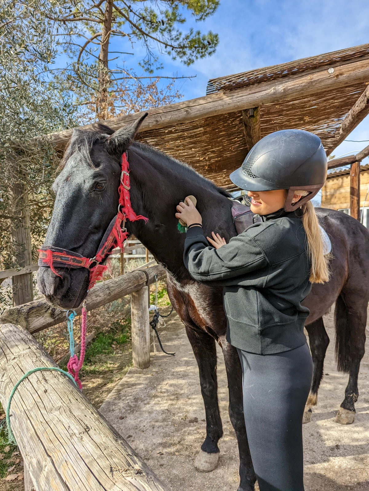 Balade détente à cheval - lac de Saint- Cassien - Expérience Côte d'Azur