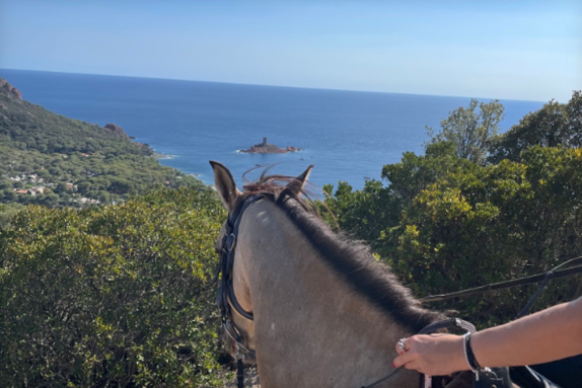 Balade équestre débutant - Panoramer Saint Raphaël - Expérience Côte d'Azur