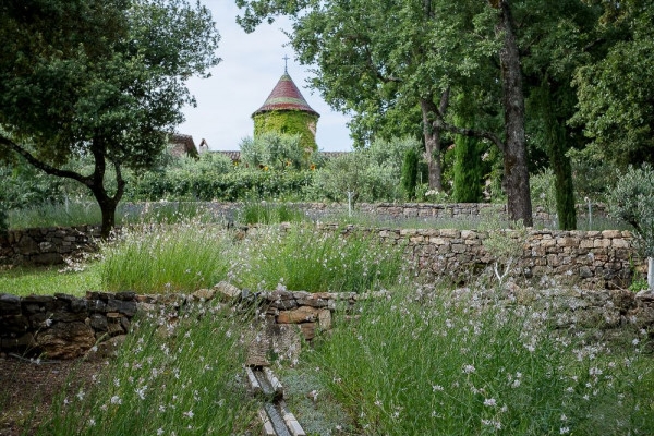 Balade guidée dans le Jardin remarquable - Expérience Côte d'Azur