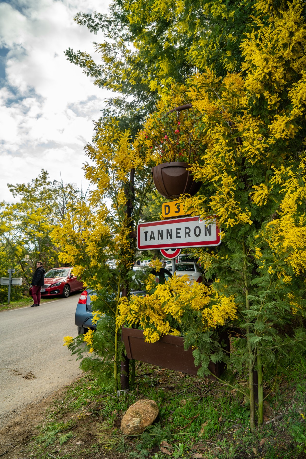 Balade naturaliste - Au coeur du Tanneron et ses mimosas - Expérience Côte d'Azur