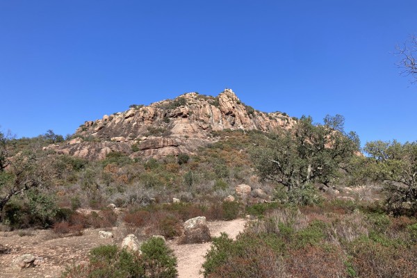 Balade naturaliste au Rocher - Expérience Côte d'Azur