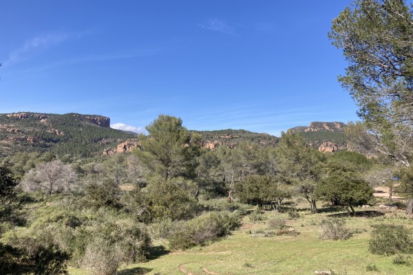 Balade naturaliste de l'homo Bouvérien - Expérience Côte d'Azur