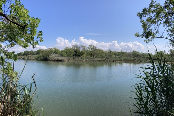 Balade naturaliste des étangs de Villepey - Expérience Côte d'Azur