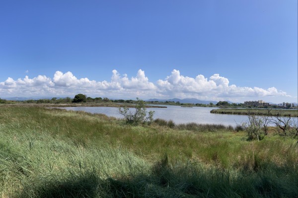Balade naturaliste à Fréjus - Les étangs de Villepey - Expérience Côte d'Azur