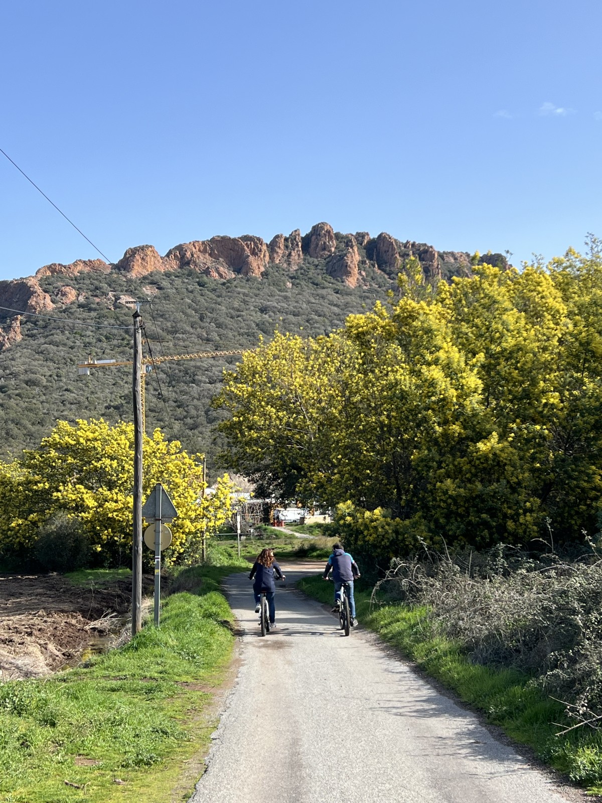Balade vinicole en VTT éléctrique - au coeur de l'Estérel  - Expérience Côte d'Azur