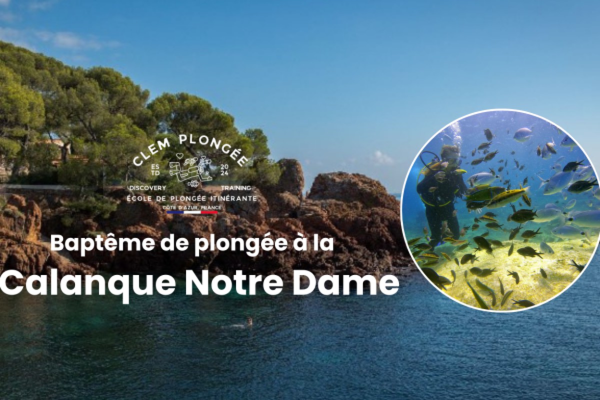 Baptême de plongée Calanque Notre Dame  - Expérience Côte d'Azur