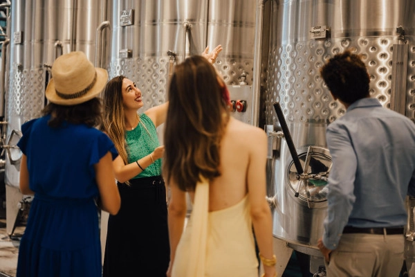 Circuit en mini van 1/2 journée, Golfe de Saint-Tropez - Expérience Côte d'Azur