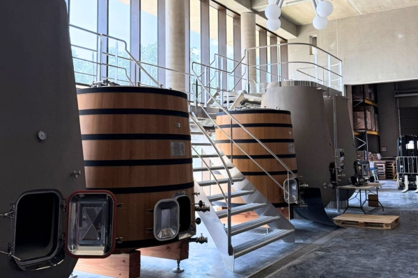 Circuit privé mini-van vignobles du Golfe de St-Tropez - Expérience Côte d'Azur