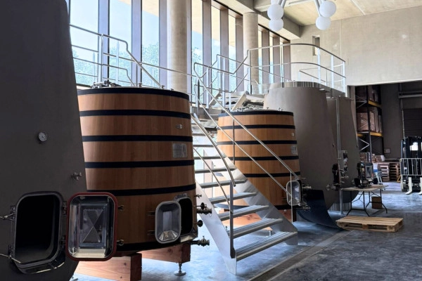 Circuit privé mini-van vignobles du Golfe de St-Tropez - Expérience Côte d'Azur