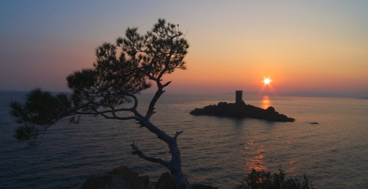 Cold Case - Expérience Côte d'Azur