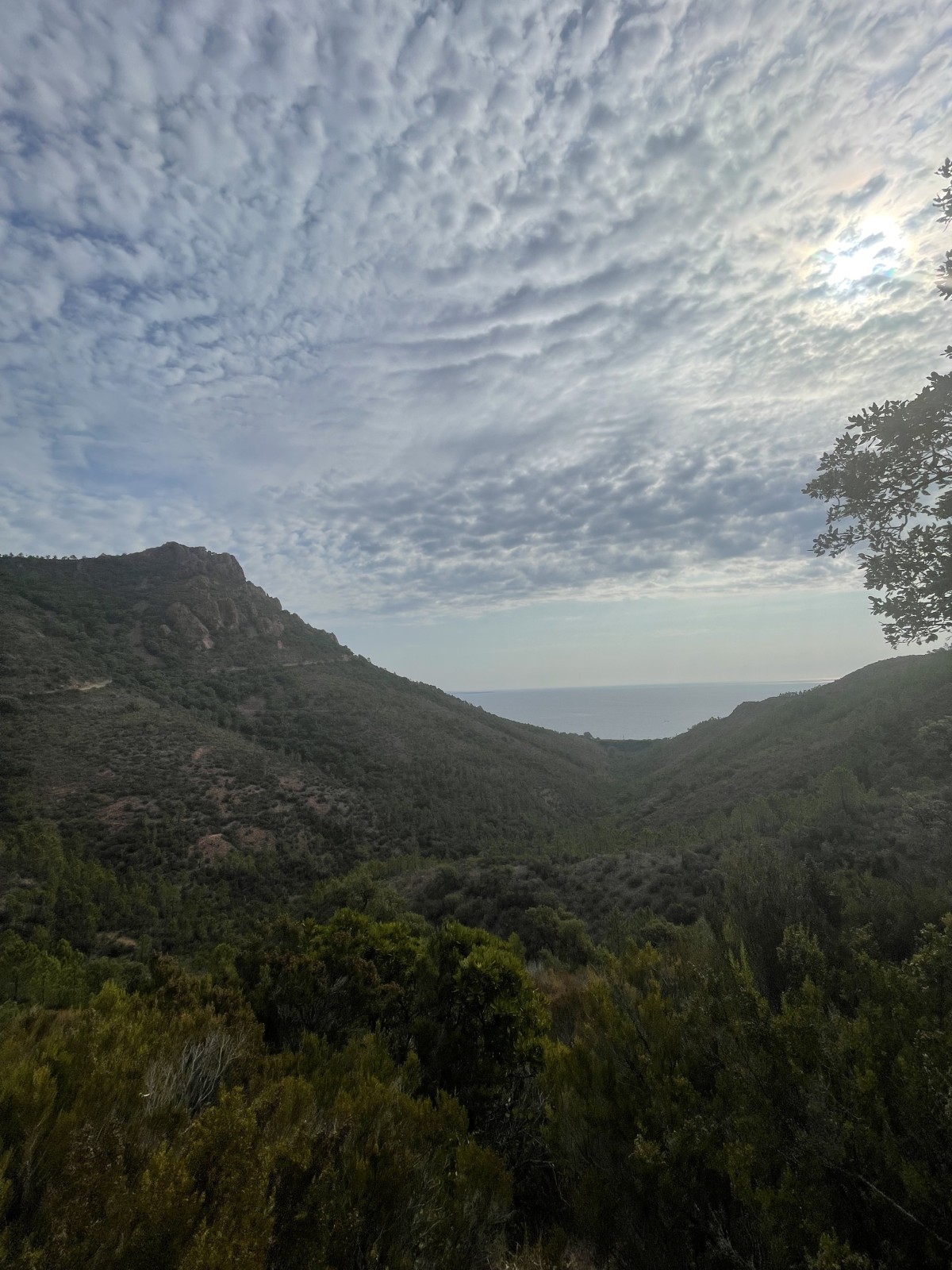 De pic en calanque, découverte d'Aurelle - Expérience Côte d'Azur