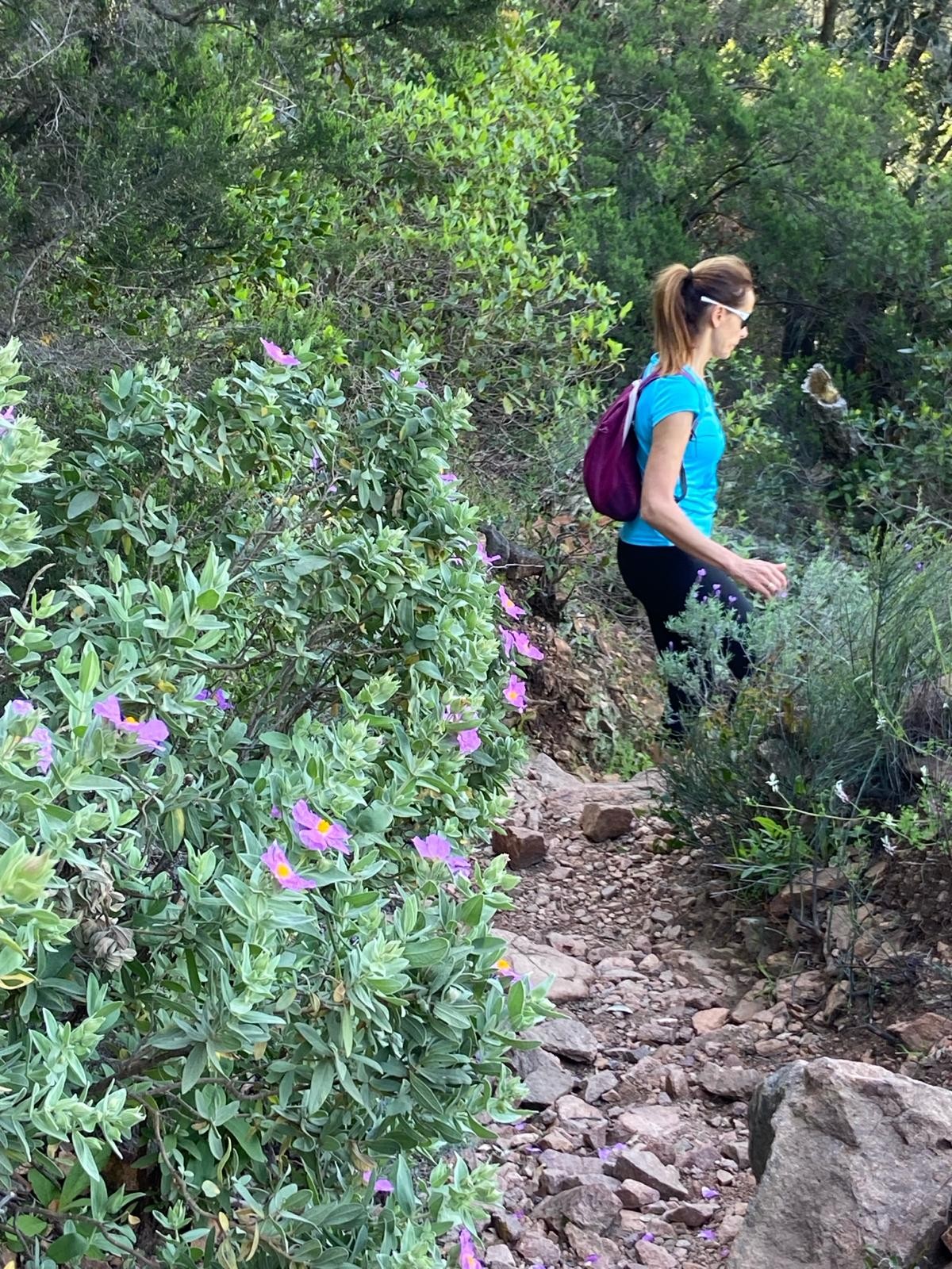 Découverte de la flore méditerranéenne - Expérience Côte d'Azur