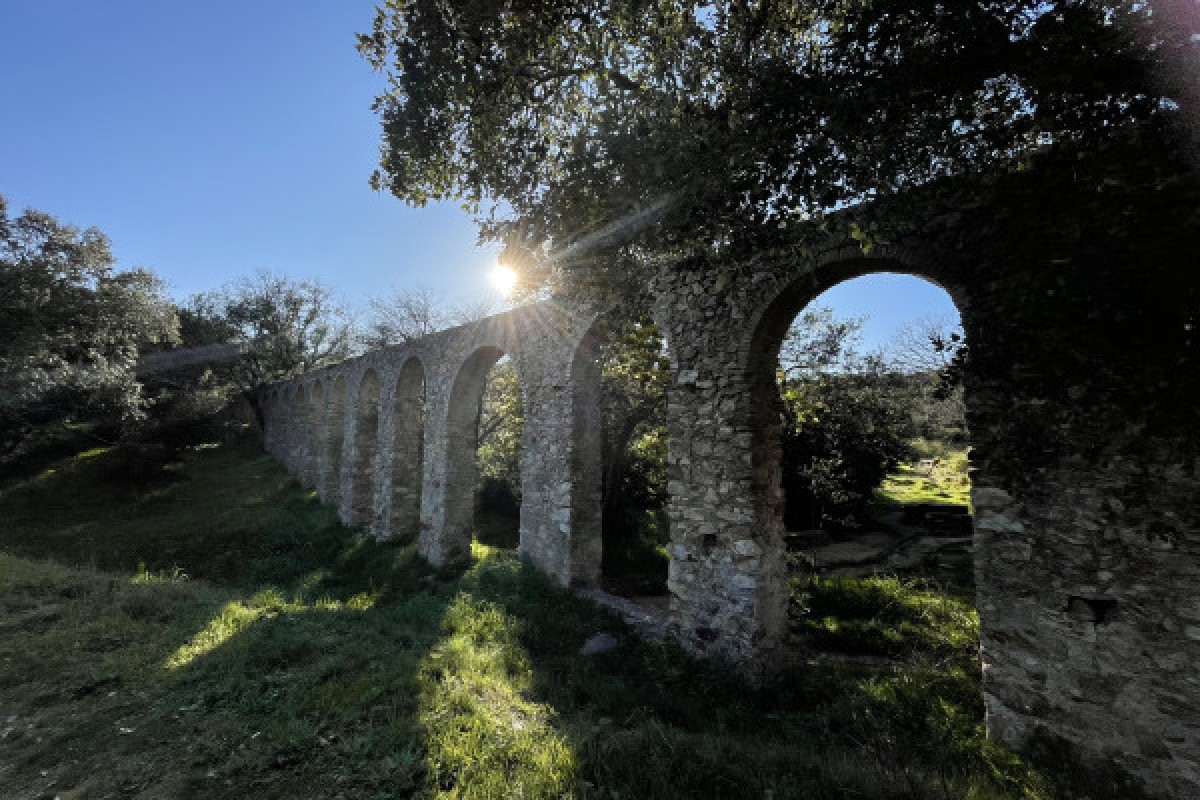 Découverte de la flore méditerranéenne - Expérience Côte d'Azur