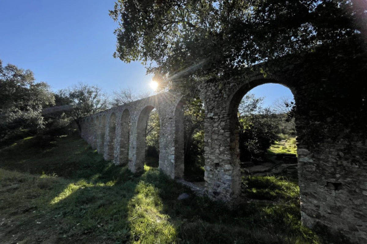 Découverte de la flore méditerranéenne - Expérience Côte d'Azur