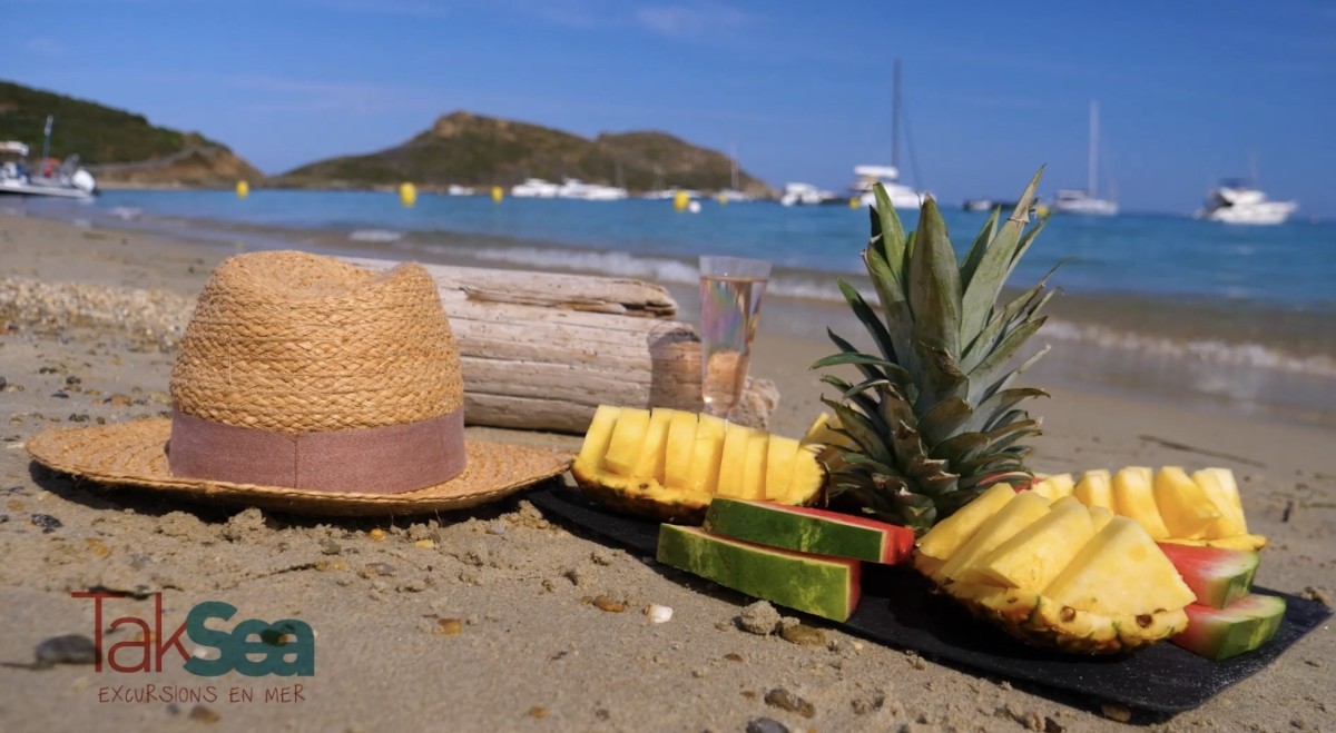 Excursion en bateau aux 3 caps du Golfe de Saint-Tropez – Départ Saint-Raphaël - Expérience Côte d'Azur