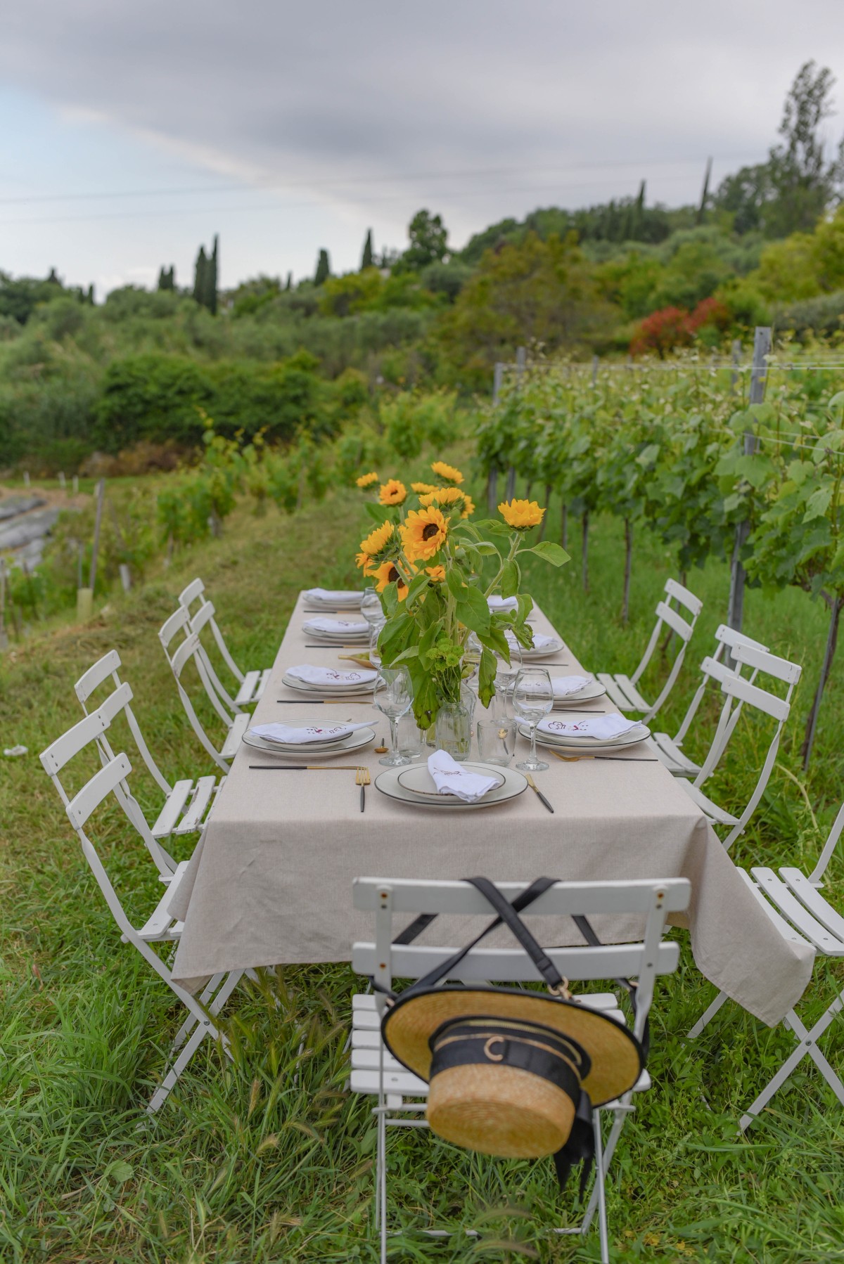 Dinner in the vineyard French Riviera - Expérience Côte d'Azur