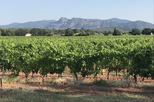 Randonnée en VTT électrique - Estérel - "A travers le temps" - Expérience Côte d'Azur