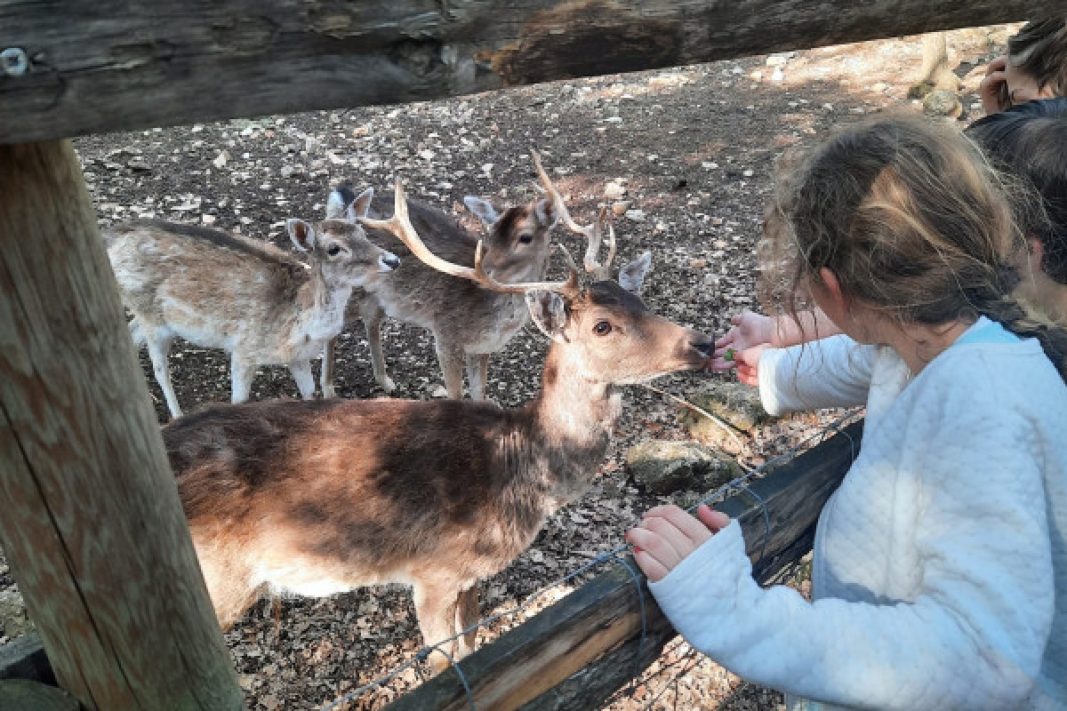 Entrée promo - Parc nature Aoubré - Coeur du Var - Expérience Côte d'Azur