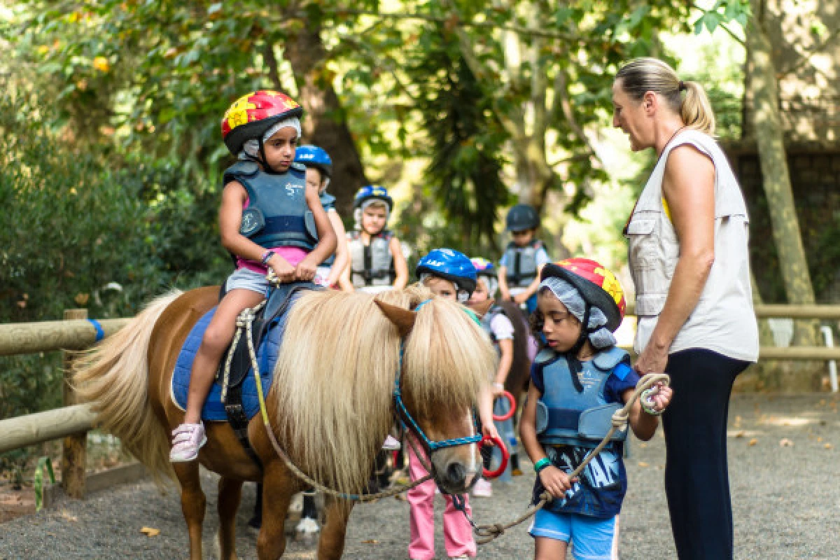 Equitation: Les bébés cavaliers de 2 à 4 ans - Expérience Côte d'Azur