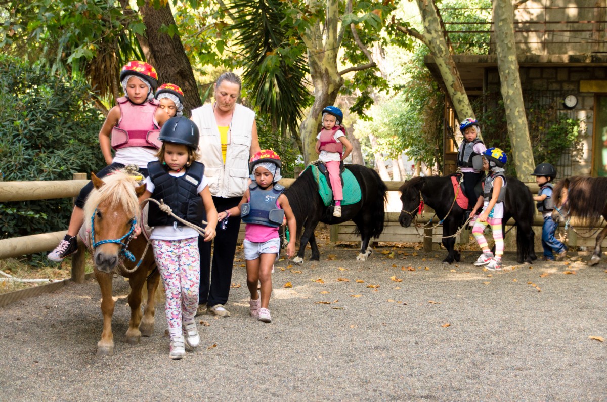 Equitation: Les bébés cavaliers de 2 à 4 ans - Expérience Côte d'Azur